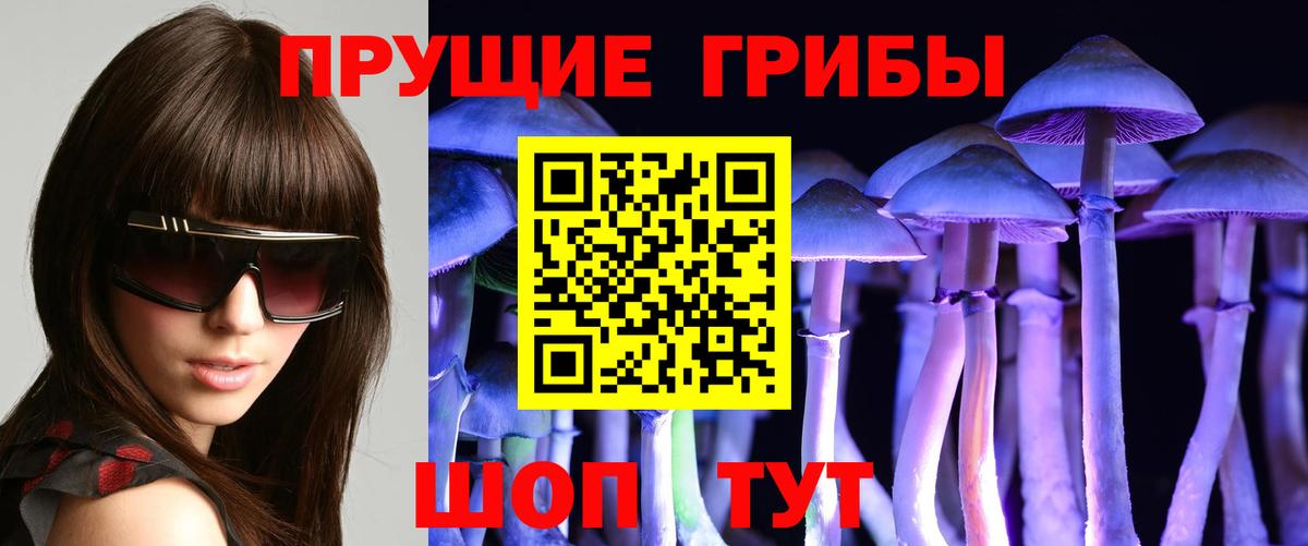 даркнет сайт  Галлюциногенные грибы ЛСД  Москва  Вход с VPN  Галлюциногенные грибы Psilocybe 